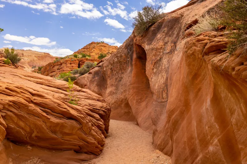 Beating the Crowds: Finding Real Solitude in Grand Staircase-Escalante's Most Visited Trails