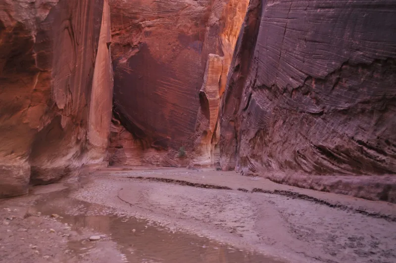 Desert Oasis: Where to Find Grand Staircase-Escalante's Most Rewarding Swimming Holes