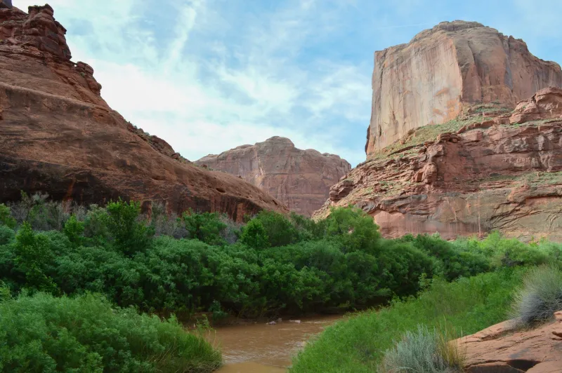 Go With the Flow: How to Read the Escalante River Before It Reads You